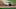 DraftKings DraftKings