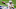 Chicago Bears, Justin Fields Chicago Bears, Justin Fields