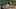 SCOTTSDALE, AZ ā MARCH 3: Colorado Rockies shortstop Trevor Story (27) hits a homer to center field in the third inning against the Milwaukee Brewers on March 3, 2018 at Salt River Fields at Talking Stick. (Photo by John Leyba/The Denver Post via Getty Images) SCOTTSDALE, AZ ā MARCH 3: Colorado Rockies shortstop Trevor Story (27) hits a homer to center field in the third inning against the Milwaukee Brewers on March 3, 2018 at Salt River Fields at Talking Stick. (Photo by John Leyba/The Denver Post via Getty Images)
