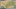 Shaymin-Map Shaymin-Map