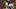 ATLANTA – NOVEMBER 11: Willis McGahee ATLANTA – NOVEMBER 11: Willis McGahee