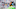 Bubba Wallace, NASCAR Bubba Wallace, NASCAR