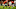 ATHENS, GA – NOVEMBER 15: Todd Gurley ATHENS, GA – NOVEMBER 15: Todd Gurley