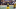 ANN ARBOR, MICHIGAN – OCTOBER 05: Brad Hawkins #20 of the Michigan Wolverines celebrates breaking up a third quarter pass against the Iowa Hawkeyes at Michigan Stadium on October 05, 2019 in Ann Arbor, Michigan. Michigan won the game 10-3. (Photo by Gregory Shamus/Getty Images) ANN ARBOR, MICHIGAN – OCTOBER 05: Brad Hawkins #20 of the Michigan Wolverines celebrates breaking up a third quarter pass against the Iowa Hawkeyes at Michigan Stadium on October 05, 2019 in Ann Arbor, Michigan. Michigan won the game 10-3. (Photo by Gregory Shamus/Getty Images)