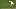 Apr 7, 2017; Augusta, GA, USA; Brad Dalke putts on the 2nd green during the second round of The Masters golf tournament at Augusta National Golf Club. Mandatory Credit: Michael Madrid-USA TODAY Sports Apr 7, 2017; Augusta, GA, USA; Brad Dalke putts on the 2nd green during the second round of The Masters golf tournament at Augusta National Golf Club. Mandatory Credit: Michael Madrid-USA TODAY Sports