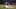 MLB DFS MLB DFS