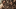 the-walking-dead-season-5-walkers-amc the-walking-dead-season-5-walkers-amc