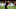 Arsenal, Jack Wilshere Arsenal, Jack Wilshere