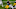 2022 NFL Draft prospect Tyler Goodson. Mandatory Credit: Jeffrey Becker-USA TODAY Sports 2022 NFL Draft prospect Tyler Goodson. Mandatory Credit: Jeffrey Becker-USA TODAY Sports