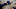 Stephen Hawking on ZERO-G flight Stephen Hawking on ZERO-G Stephen Hawking on ZERO-G flight Stephen Hawking on ZERO-G