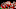 Kansas City Chiefs quarterback Alex Smith Kansas City Chiefs quarterback Alex Smith