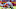 Kansas City Chiefs Seattle Seahawks Kansas City Chiefs Seattle Seahawks