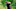 DUBLIN, OHIO – JUNE 01: Kiradech Aphibarnrat of Thailand plays a shot during the third round of The Memorial Tournament Presented By Nationwide at Muirfield Village Golf Club on June 01, 2019 in Dublin, Ohio. (Photo by Sam Greenwood/Getty Images) DUBLIN, OHIO – JUNE 01: Kiradech Aphibarnrat of Thailand plays a shot during the third round of The Memorial Tournament Presented By Nationwide at Muirfield Village Golf Club on June 01, 2019 in Dublin, Ohio. (Photo by Sam Greenwood/Getty Images)