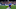 Everton, Richarlison Everton, Richarlison