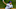 MLB MLB