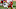 : Vincent Carchietta-USA TODAY Sports : Vincent Carchietta-USA TODAY Sports