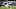 Pape Matar Sarr of Tottenham Hotspur Pape Matar Sarr of Tottenham Hotspur