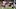 FOXBORO, MA – SEPTEMBER 07: Kareem Hunt FOXBORO, MA – SEPTEMBER 07: Kareem Hunt