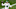 Sam Darnold, New England Patriots Sam Darnold, New England Patriots
