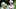 J.T. Poston PGA TOUR Wyndham Championship J.T. Poston PGA TOUR Wyndham Championship