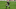 Chicago Bears, Derek Carr