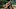 Far Cry 3 - Vaas Far Cry 3 - Vaas