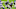 Dallas Cowboys Dallas Cowboys