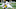 Paddy Fisher, 2021 NFL Draft Paddy Fisher, 2021 NFL Draft