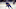 Buffalo Sabres Buffalo Sabres