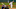 DraftKings DraftKings