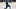 San Jose Sharks San Jose Sharks