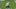 Philadelphia Eagles Philadelphia Eagles
