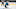 Detroit Red Wings, Martin Jones