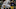 SEATTLE, WA – SEPTEMBER 16: Quarterback Marcus McMaryion SEATTLE, WA – SEPTEMBER 16: Quarterback Marcus McMaryion