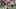 COLUMBUS, OH – NOVEMBER 18: Patrick Nelson COLUMBUS, OH – NOVEMBER 18: Patrick Nelson