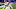 Cleveland Browns Cleveland Browns