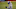 Buffalo Bills Buffalo Bills