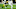 Green Bay Packers