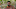 Survivor David vs. Goliath episode 8 Davie Rickenbacker Survivor David vs. Goliath episode 8 Davie Rickenbacker