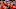LUBBOCK, TX – JANUARY 28: The Texas Tech Red Raiders student section gets fired up with ESPN sportscaster Holly Rowe before the game against the TCU Horned Frogs on January 28, 2019 at United Supermarkets Arena in Lubbock, Texas. Texas Tech defeated TCU 84-65. (Photo by John Weast/Getty Images) LUBBOCK, TX – JANUARY 28: The Texas Tech Red Raiders student section gets fired up with ESPN sportscaster Holly Rowe before the game against the TCU Horned Frogs on January 28, 2019 at United Supermarkets Arena in Lubbock, Texas. Texas Tech defeated TCU 84-65. (Photo by John Weast/Getty Images)