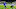 Leicester City Leicester City
