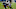 Chicago Bears, Darren Fells