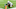 NFL DFS NFL DFS