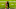Bayern Munich Bayern Munich