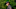 CJ Cup, Congaree, Congaree Golf Club, PGA Tour, Rory McIlroy, FedEx Cup CJ Cup, Congaree, Congaree Golf Club, PGA Tour, Rory McIlroy, FedEx Cup