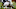 Ben Banogu 2019 NFL Draft Ben Banogu 2019 NFL Draft