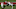 Georgia Football