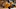 NASHVILLE, TN – FEBRUARY 11: Cody McLeod NASHVILLE, TN – FEBRUARY 11: Cody McLeod