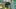 Eric Stokes, Green Bay Packers