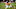 Chicago Bears, Deon Bush Chicago Bears, Deon Bush